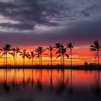 Free access to (allday808) Leak OnlyFans 

 profile picture