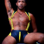 arckhaven OnlyFans Leaked Photos and Videos 

 profile picture
