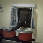 badlicious (oiciruam) OnlyFans content 

 profile picture