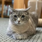 bubu91 OnlyFans Leaked 

 profile picture