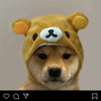 bunniebby (mia) free OnlyFans Leaked Content 

 profile picture