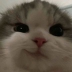 Onlyfans leak butterfry 

 profile picture