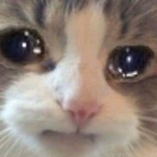 Catto Mcgriddle (c4770) Leaks OnlyFans 

 profile picture