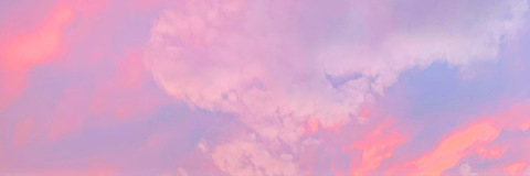 Header of cidernikki