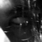 cl0wn OnlyFans Leak 

 profile picture