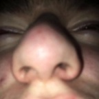 dakotafrfr OnlyFans Leak 

 profile picture