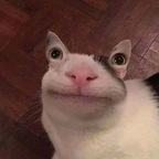 emelyyy (emelyxo) Leaks OnlyFans 

 profile picture