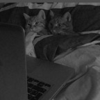 Helena A. (@hellenax) Leaks OnlyFans 

 profile picture