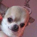 Download houstonreviewer OnlyFans content for free 

 profile picture