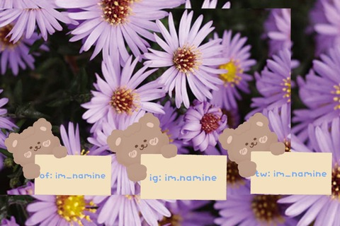 Header of im_namine