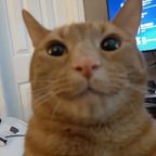 imderi OnlyFans Leaks 

 profile picture