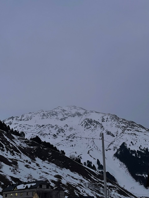 Header of liloostich