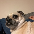 Onlyfans leaks loveurguts 

 profile picture