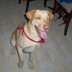 lunam OnlyFans Leaked Photos and Videos 

 profile picture