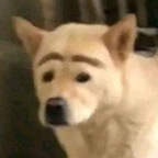 m a c k y y @mackyykk Leak OnlyFans 

 profile picture