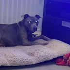 Free access to (@misscc) Leaks OnlyFans 

 profile picture