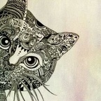 Free access to (moroz) Leak OnlyFans 

 profile picture