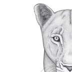 Onlyfans leak nalla_the_lioness 

 profile picture