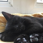 Onlyfans leak nigiri 

 profile picture