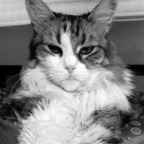 ninovka OnlyFans Leak 

 profile picture