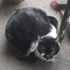 Download only-hans OnlyFans content for free 

 profile picture