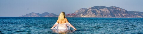 Header of pati_rose_