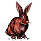 redrabbit6969 OnlyFans Leaks 

 profile picture