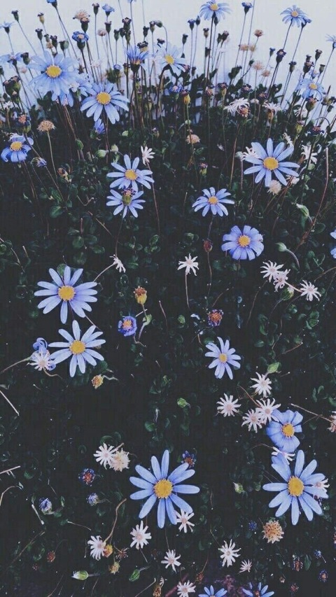 Header of rjadee