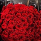 salamanca (David Hüller) OnlyFans content 

 profile picture