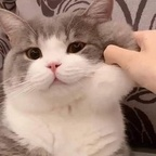 Onlyfans leaks satancake 

 profile picture