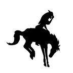 showponytrashbarbie OnlyFans Leak 

 profile picture