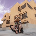 Sinful Sloth Slut (she/her) sinfulslothslut Leaked OnlyFans 

 profile picture