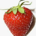 sugarlicia (Big 🍓) OnlyFans Leaks 

 profile picture