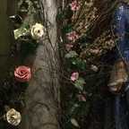 Free access to tammywynette Leaked OnlyFans 

 profile picture