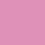 Onlyfans leaked thepinkprincess 

 profile picture