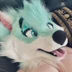 thylasaur (Quartz 💕) free OnlyFans Leaks 

 profile picture