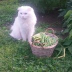 u17049518 OnlyFans Leaked Photos and Videos 

 profile picture