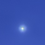 wsmbull (wsmbull) OnlyFans Leaks 

 profile picture