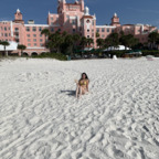 Download wyst3ria OnlyFans content for free 

 profile picture