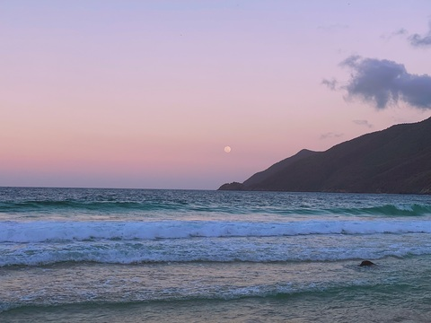 Header of zarataco