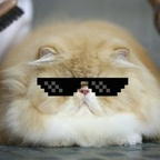 zippos OnlyFans Leak 

 profile picture