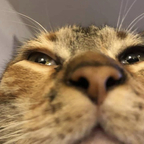 Download zoppa OnlyFans videos and photos for free 

 profile picture